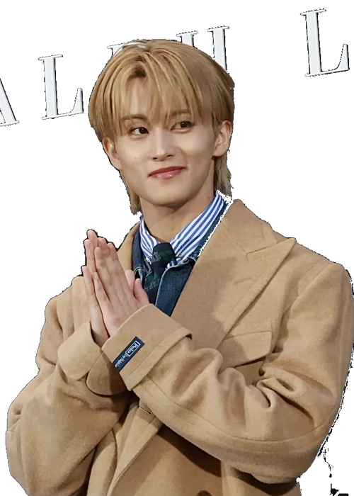 Mark Lee NCT